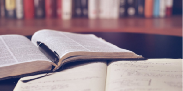 Diseño sin título (91)